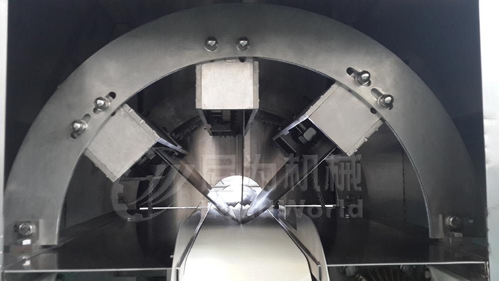 自動水果切條機(jī)