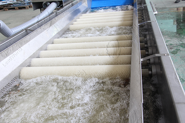 鼓泡清洗機(jī)(帶毛滾)